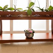 novenytarto-es-disztargyallvany