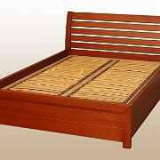 2NO2_SLIM