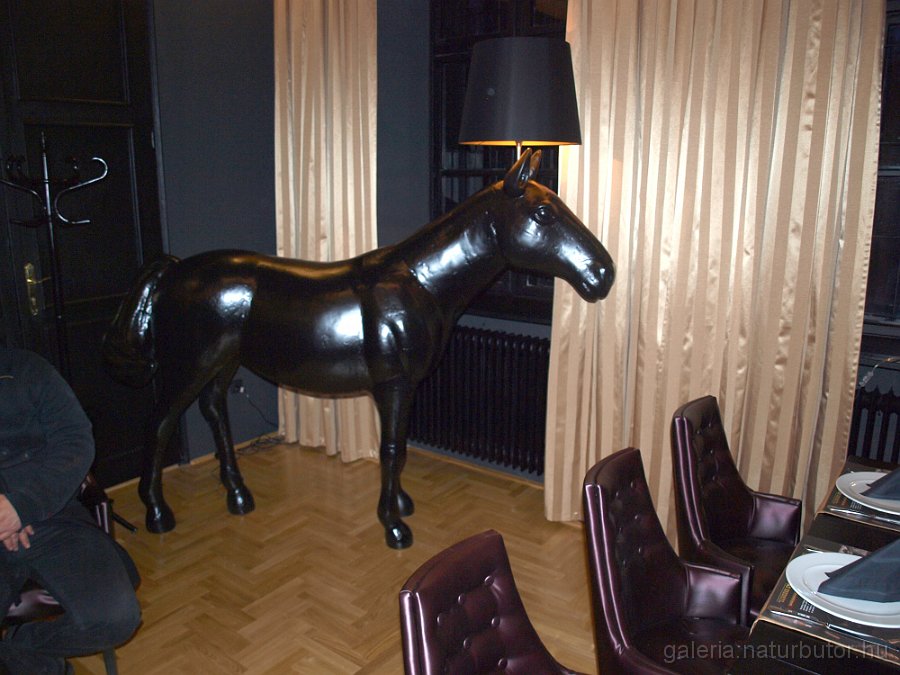 uj-vigado-111216-09.jpg - �j Vigad� (111216-09)